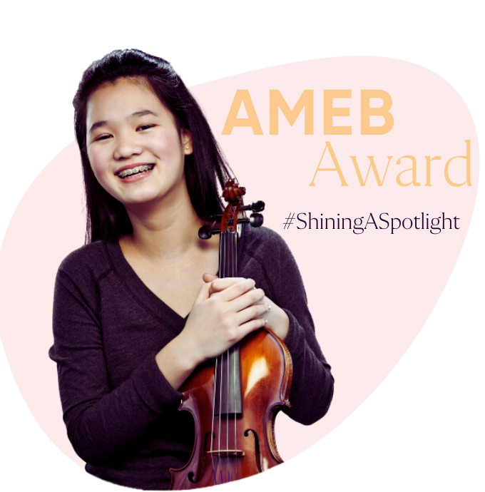 AMEB Award banner